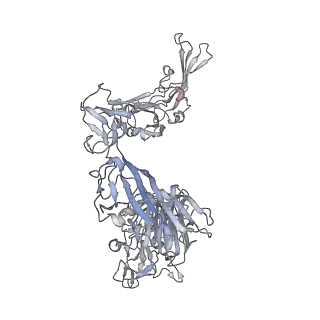 8790_5w9o_K_v1-5
MERS S ectodomain trimer in complex with variable domain of neutralizing antibody G4