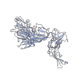 8790_5w9o_L_v1-5
MERS S ectodomain trimer in complex with variable domain of neutralizing antibody G4
