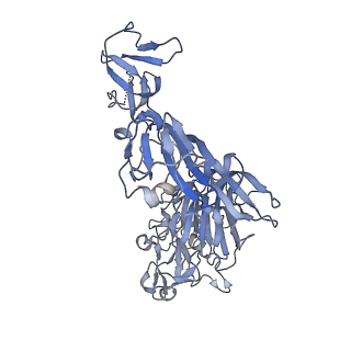 8791_5w9p_A_v1-5
MERS S ectodomain trimer in complex with variable domain of neutralizing antibody G4