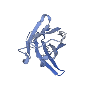 8791_5w9p_D_v1-5
MERS S ectodomain trimer in complex with variable domain of neutralizing antibody G4