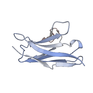 8791_5w9p_E_v1-5
MERS S ectodomain trimer in complex with variable domain of neutralizing antibody G4