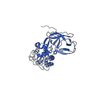 8791_5w9p_H_v1-5
MERS S ectodomain trimer in complex with variable domain of neutralizing antibody G4