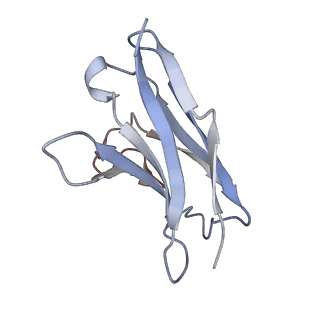 8791_5w9p_L_v1-5
MERS S ectodomain trimer in complex with variable domain of neutralizing antibody G4
