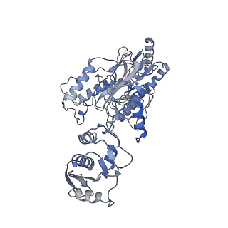 21582_6waz_A_v1-1
+1 extended HIV-1 reverse transcriptase initiation complex core (pre-translocation state)