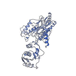 21582_6waz_A_v1-2
+1 extended HIV-1 reverse transcriptase initiation complex core (pre-translocation state)