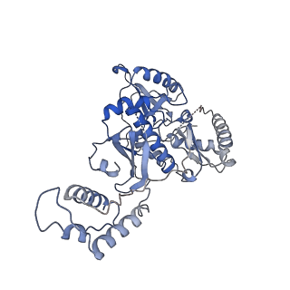 21582_6waz_B_v1-1
+1 extended HIV-1 reverse transcriptase initiation complex core (pre-translocation state)