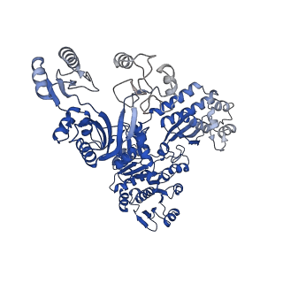 32381_7wac_A_v1-1
Trichodesmium erythraeum cyanophycin synthetase 1 (TeCphA1)