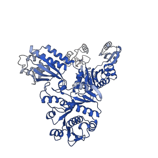 32381_7wac_B_v1-1
Trichodesmium erythraeum cyanophycin synthetase 1 (TeCphA1)