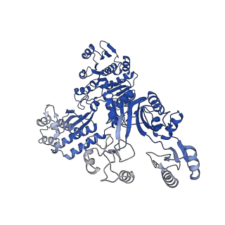 32381_7wac_C_v1-1
Trichodesmium erythraeum cyanophycin synthetase 1 (TeCphA1)