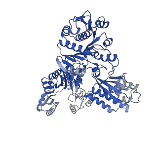 32381_7wac_D_v1-1
Trichodesmium erythraeum cyanophycin synthetase 1 (TeCphA1)