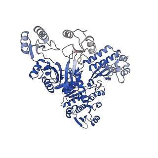 32382_7wad_A_v1-1
Trichodesmium erythraeum cyanophycin synthetase 1 (TeCphA1) with ATPgammaS