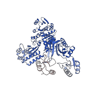 32382_7wad_C_v1-1
Trichodesmium erythraeum cyanophycin synthetase 1 (TeCphA1) with ATPgammaS