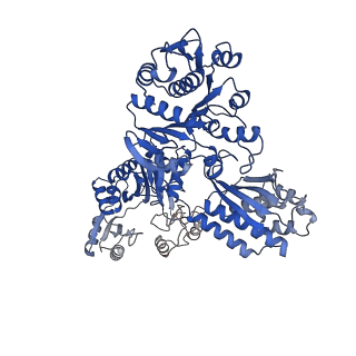 32382_7wad_D_v1-1
Trichodesmium erythraeum cyanophycin synthetase 1 (TeCphA1) with ATPgammaS