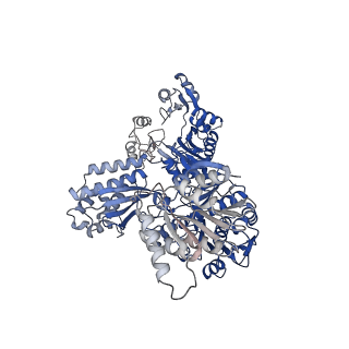 32383_7wae_A_v1-1
Trichodesmium erythraeum cyanophycin synthetase 1 (TeCphA1) with ATPgammaS, 4x(beta-Asp-Arg), and aspartate