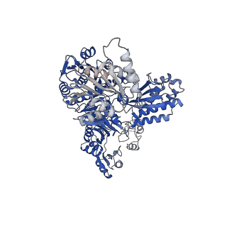 32383_7wae_B_v1-1
Trichodesmium erythraeum cyanophycin synthetase 1 (TeCphA1) with ATPgammaS, 4x(beta-Asp-Arg), and aspartate