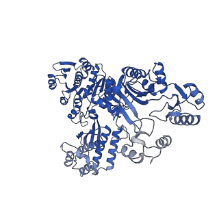 32383_7wae_D_v1-1
Trichodesmium erythraeum cyanophycin synthetase 1 (TeCphA1) with ATPgammaS, 4x(beta-Asp-Arg), and aspartate
