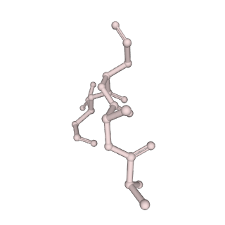 32383_7wae_J_v1-1
Trichodesmium erythraeum cyanophycin synthetase 1 (TeCphA1) with ATPgammaS, 4x(beta-Asp-Arg), and aspartate