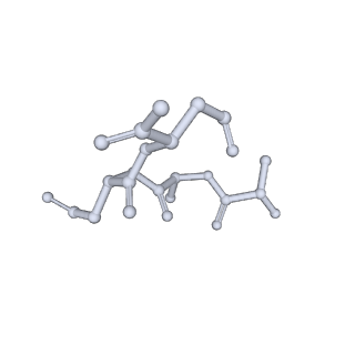 32383_7wae_K_v1-1
Trichodesmium erythraeum cyanophycin synthetase 1 (TeCphA1) with ATPgammaS, 4x(beta-Asp-Arg), and aspartate