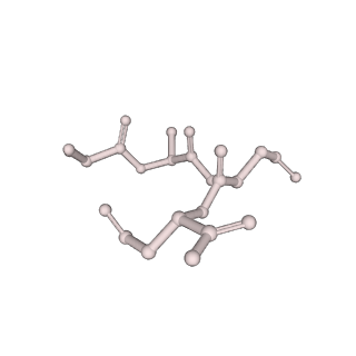 32383_7wae_M_v1-1
Trichodesmium erythraeum cyanophycin synthetase 1 (TeCphA1) with ATPgammaS, 4x(beta-Asp-Arg), and aspartate