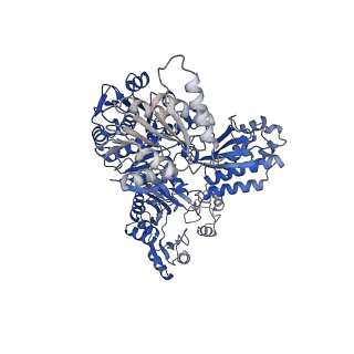 32384_7waf_B_v1-1
Trichodesmium erythraeum cyanophycin synthetase 1 (TeCphA1) with ATPgammaS and 4x(beta-Asp-Arg)