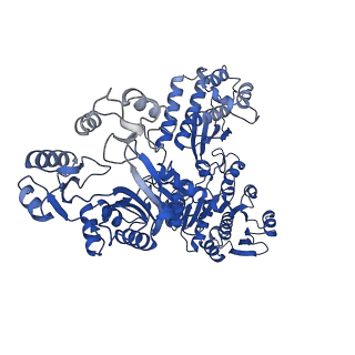 32384_7waf_C_v1-1
Trichodesmium erythraeum cyanophycin synthetase 1 (TeCphA1) with ATPgammaS and 4x(beta-Asp-Arg)