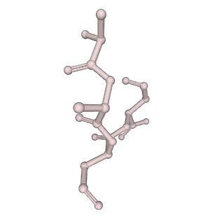 32384_7waf_I_v1-1
Trichodesmium erythraeum cyanophycin synthetase 1 (TeCphA1) with ATPgammaS and 4x(beta-Asp-Arg)