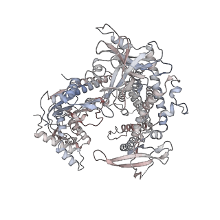 32390_7waz_A_v1-1
PlmCasX-sgRNAv1-dsDNA ternary complex at ts loading state