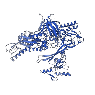 37387_8wa0_B_v1-0
The cryo-EM structure of the Nicotiana tabacum PEP-PAP-TEC1