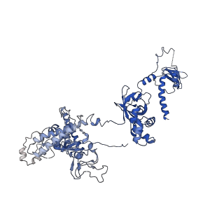 37387_8wa0_C_v1-0
The cryo-EM structure of the Nicotiana tabacum PEP-PAP-TEC1