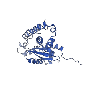 37387_8wa0_G_v1-0
The cryo-EM structure of the Nicotiana tabacum PEP-PAP-TEC1