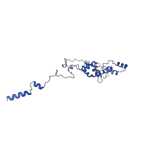 37387_8wa0_H_v1-0
The cryo-EM structure of the Nicotiana tabacum PEP-PAP-TEC1
