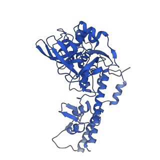 37387_8wa0_J_v1-0
The cryo-EM structure of the Nicotiana tabacum PEP-PAP-TEC1