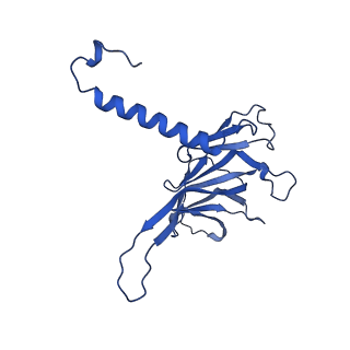 37387_8wa0_K_v1-0
The cryo-EM structure of the Nicotiana tabacum PEP-PAP-TEC1