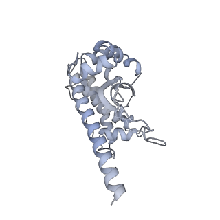 37387_8wa0_L_v1-0
The cryo-EM structure of the Nicotiana tabacum PEP-PAP-TEC1