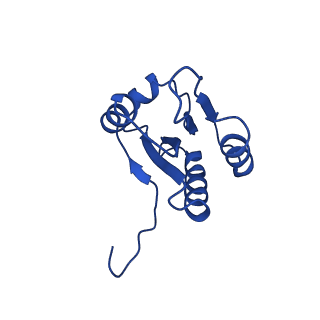 37387_8wa0_M_v1-0
The cryo-EM structure of the Nicotiana tabacum PEP-PAP-TEC1