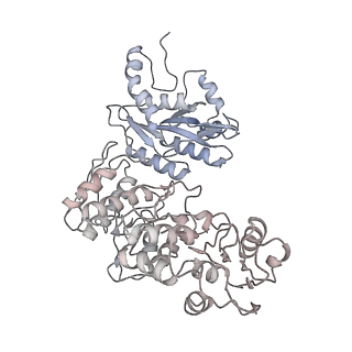 37387_8wa0_N_v1-0
The cryo-EM structure of the Nicotiana tabacum PEP-PAP-TEC1