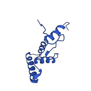 37387_8wa0_O_v1-0
The cryo-EM structure of the Nicotiana tabacum PEP-PAP-TEC1