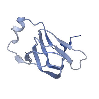 37387_8wa0_P_v1-0
The cryo-EM structure of the Nicotiana tabacum PEP-PAP-TEC1