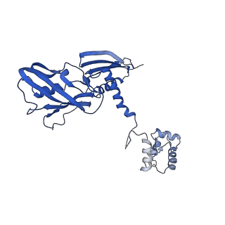 37387_8wa0_a_v1-0
The cryo-EM structure of the Nicotiana tabacum PEP-PAP-TEC1