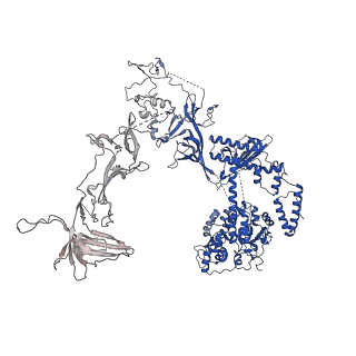 37387_8wa0_c_v1-0
The cryo-EM structure of the Nicotiana tabacum PEP-PAP-TEC1