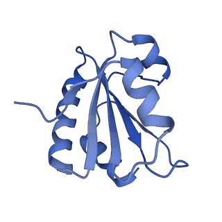 37387_8wa0_m_v1-0
The cryo-EM structure of the Nicotiana tabacum PEP-PAP-TEC1