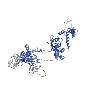 37388_8wa1_C_v1-0
The cryo-EM structure of the Nicotiana tabacum PEP-PAP-TEC2
