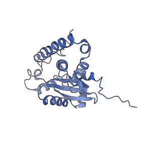 37388_8wa1_G_v1-0
The cryo-EM structure of the Nicotiana tabacum PEP-PAP-TEC2