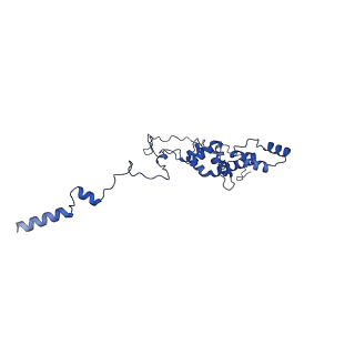 37388_8wa1_H_v1-0
The cryo-EM structure of the Nicotiana tabacum PEP-PAP-TEC2