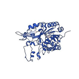 37388_8wa1_I_v1-0
The cryo-EM structure of the Nicotiana tabacum PEP-PAP-TEC2