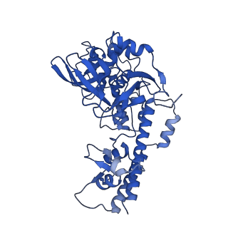37388_8wa1_J_v1-0
The cryo-EM structure of the Nicotiana tabacum PEP-PAP-TEC2