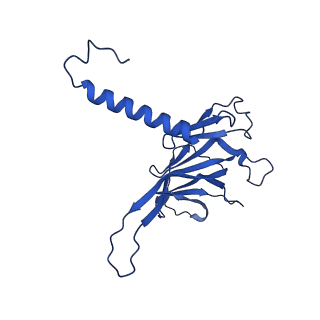 37388_8wa1_K_v1-0
The cryo-EM structure of the Nicotiana tabacum PEP-PAP-TEC2