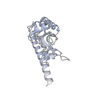 37388_8wa1_L_v1-0
The cryo-EM structure of the Nicotiana tabacum PEP-PAP-TEC2