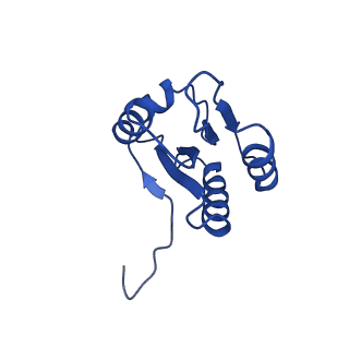 37388_8wa1_M_v1-0
The cryo-EM structure of the Nicotiana tabacum PEP-PAP-TEC2