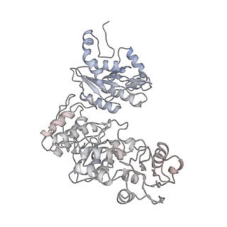 37388_8wa1_N_v1-0
The cryo-EM structure of the Nicotiana tabacum PEP-PAP-TEC2